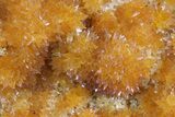 Intense Orange Calcite Crystals - Poland #80227-2